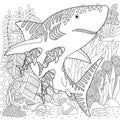 Shark adult coloring book page Royalty Free Stock Photo